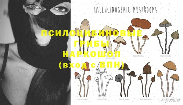 бутират Алзамай